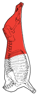 Hindquarter, HAM7 code 1015: carcase location diagram (placeholder illustration)