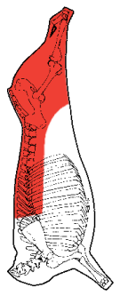 Pistola Hindquarter, HAM7 code 1025: carcase location diagram (placeholder illustration)