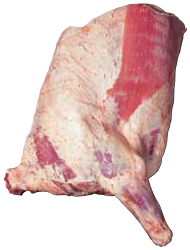 Forequarter, HAM7 code 1063: reference photograph (placeholder illustration)