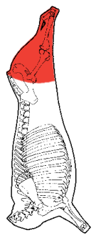 Butt, HAM7 code 1500: carcase location diagram (placeholder illustration)