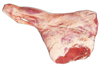 Butt, HAM7 code 1500: reference photograph (placeholder illustration)