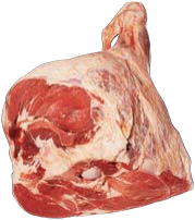 Butt, HAM7 code 1503: reference photograph (placeholder illustration)