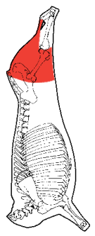 Butt, shank off, HAM7 code 1510: carcase location diagram (placeholder illustration)