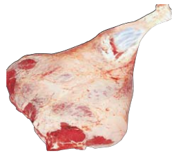 Butt, shank off, HAM7 code 1510: reference photograph (placeholder illustration)