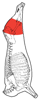 Butt Square Cut, HAM7 code 1520: carcase location diagram (placeholder illustration)