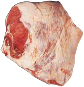 Butt Square Cut, HAM7 code 1520: reference photograph (placeholder illustration)