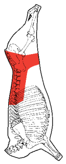 Rump and Loin, HAM7 code 1543: carcase location diagram (placeholder illustration)