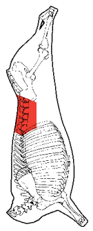 Short Loin, HAM7 code 1550: carcase location diagram (placeholder illustration)