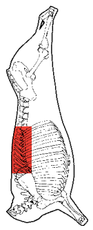 Ribs, prepared, HAM7 code 1605: carcase location diagram (placeholder illustration)