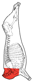 Neck, HAM7 code 1630: carcase location diagram (placeholder illustration)