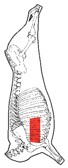 Chuck Short Ribs, HAM7 code 1631: carcase location diagram (placeholder illustration)