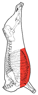 Brisket, HAM7 code 1643: carcase location diagram (placeholder illustration)