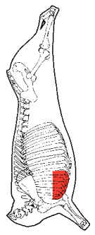 Plate Ribs, HAM7 code 1671: carcase location diagram (placeholder illustration)