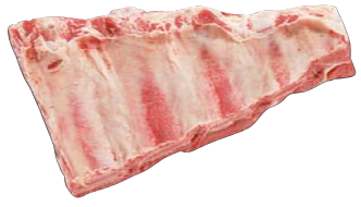 Plate Ribs, HAM7 code 1671: reference photograph (placeholder illustration)