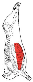 Brisket Rib Plate, HAM7 code 1673: carcase location diagram (placeholder illustration)