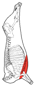 Brisket Point (Sternum), HAM7 code 1674: carcase location diagram (placeholder illustration)