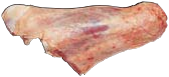 Shin / Shank Forequarter, HAM7 code 1682: reference photograph (placeholder illustration)