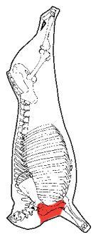 Armbone Shin, HAM7 code 1685: carcase location diagram (placeholder illustration)