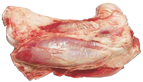 Armbone Shin, HAM7 code 1685: reference photograph (placeholder illustration)