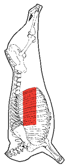 Short Ribs, HAM7 code 1691: carcase location diagram (placeholder illustration)