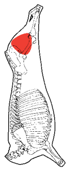 Topside Cap Off, HAM7 code 2001: carcase location diagram (placeholder illustration)