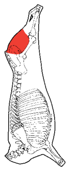 Outside, HAM7 code 2030: carcase location diagram (placeholder illustration)