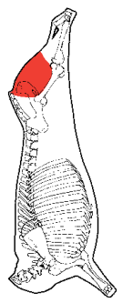 Outside Meat, HAM7 code 2033: carcase location diagram (placeholder illustration)