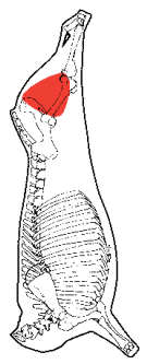 Inside Meat, HAM7 code 2035: carcase location diagram (placeholder illustration)