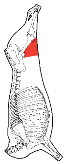 Thick Flank, HAM7 code 2060: carcase location diagram (placeholder illustration)