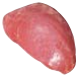 M. Vastus Lateralis, HAM7 code 2068: reference photograph (placeholder illustration)