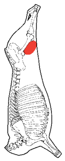 Knuckle, HAM7 code 2070: carcase location diagram (placeholder illustration)