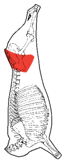 Rump, HAM7 code 2090: carcase location diagram (placeholder illustration)