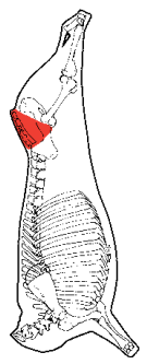 Rump Cap, HAM7 code 2091: carcase location diagram (placeholder illustration)