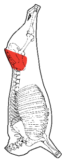 D-Rump, HAM7 code 2100: carcase location diagram (placeholder illustration)