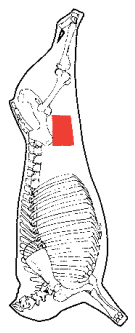 Bottom Sirloin, HAM7 code 2130: carcase location diagram (placeholder illustration)