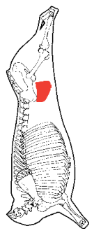 Tri-Tip, HAM7 code 2131: carcase location diagram (placeholder illustration)