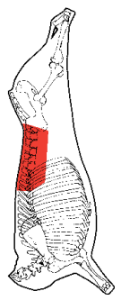 Striploin, HAM7 code 2140: carcase location diagram (placeholder illustration)