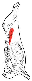 Tenderloin Side Strap Off, HAM7 code 2160: carcase location diagram (placeholder illustration)