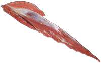 Tenderloin Side Strap Off, HAM7 code 2160: reference photograph (placeholder illustration)