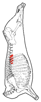 Thick Skirt, HAM7 code 2180: carcase location diagram (placeholder illustration)