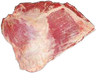 Thin Flank, HAM7 code 2200: reference photograph (placeholder illustration)