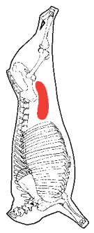 Internal Flank Plate, HAM7 code 2203: carcase location diagram (placeholder illustration)