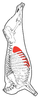 Inside Skirt, HAM7 code 2205: carcase location diagram (placeholder illustration)
