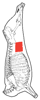 Flank Plate Steak Tip, HAM7 code 2207: carcase location diagram (placeholder illustration)
