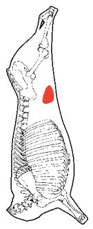 Flank Steak, HAM7 code 2210: carcase location diagram (placeholder illustration)