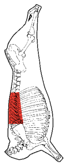 Spencer Roll, HAM7 code 2231: carcase location diagram (placeholder illustration)