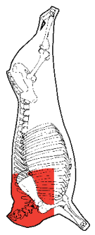 Chuck, HAM7 code 2262: carcase location diagram (placeholder illustration)