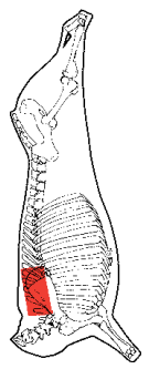 Chuck Eye Log, HAM7 code 2264: carcase location diagram (placeholder illustration)