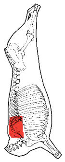 Chuck Eye Roll, HAM7 code 2268: carcase location diagram (placeholder illustration)