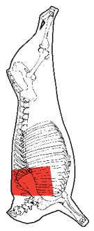 Chuck, square cut, HAM7 code 2271: carcase location diagram (placeholder illustration)